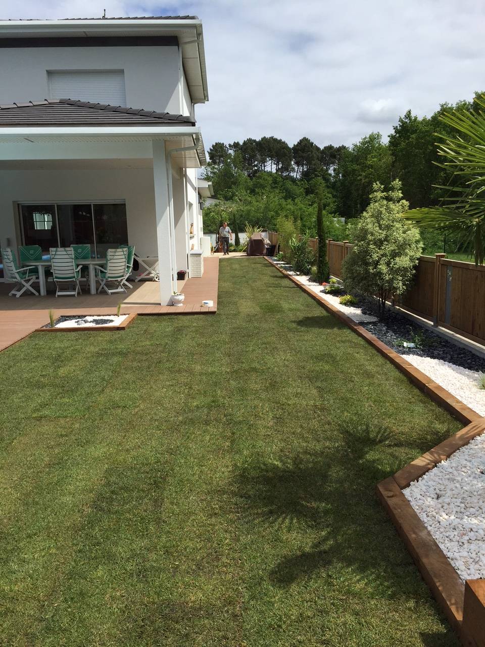 Jardin vert herbes